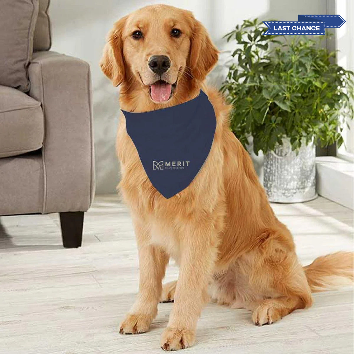 Merit Pet Bandana